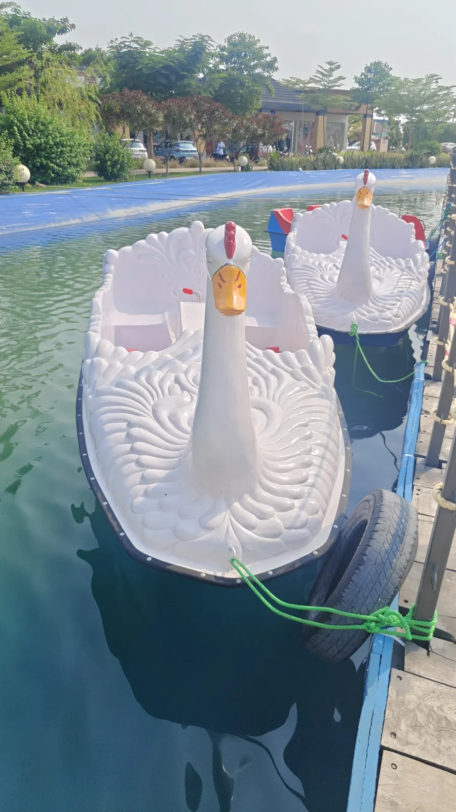 Swan Boat